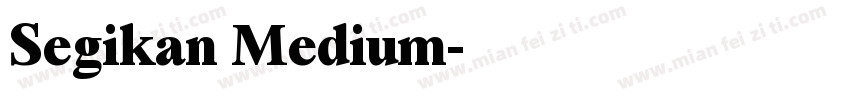 Segikan Medium字体转换